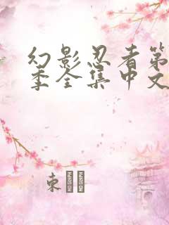 幻影忍者第10季全集中文版