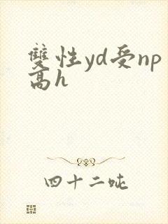 双性yd受np高h