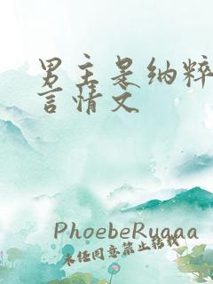 男主是纳粹军官言情文