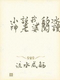 小说我的冰山女神老婆阅读