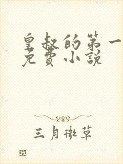 皇叔的第一宠妃免费小说