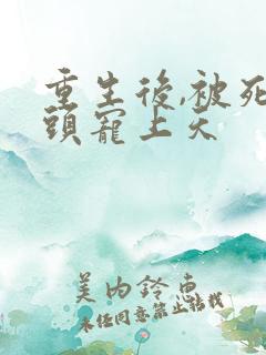 重生后,被死对头宠上天