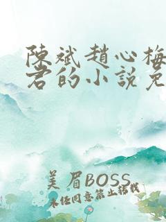 陈斌赵心梅高婉君的小说免费阅读