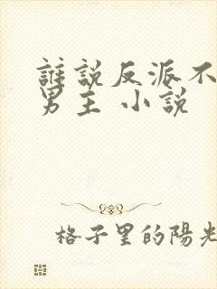 谁说反派不能当男主 小说