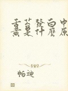 舌苔发白中间发黄是什么原因