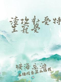 渣攻对受特坏重生宠受