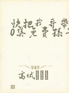 快把我哥带走30集免费孙千