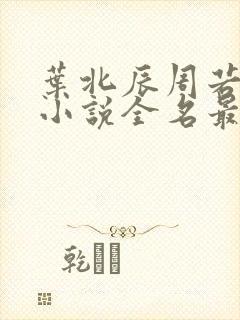 叶北辰周若妤的小说全名最新章节