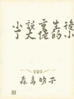 小说重生后我成了大佬的小心肝