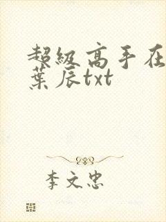 超级高手在都市叶辰txt