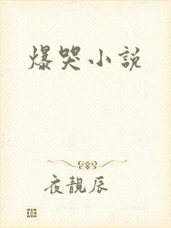 爆哭小说