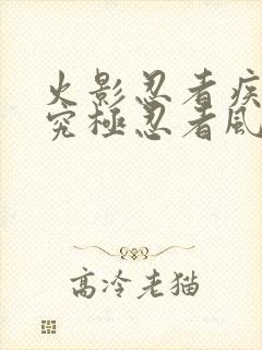 火影忍者疾风传究极忍者风暴3