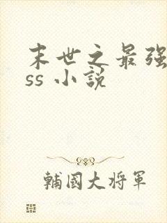 末世之最强boss 小说