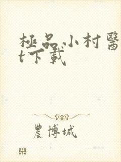 极品小村医txt下载