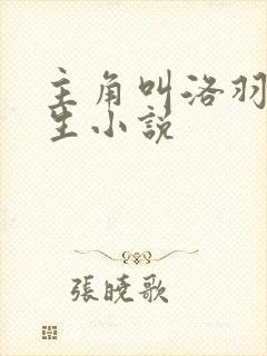 主角叫洛羽的重生小说