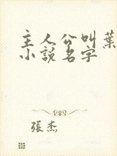 主人公叫叶凡的小说名字