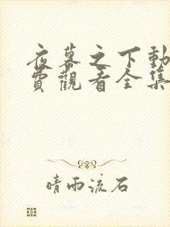 夜幕之下动漫免费观看全集