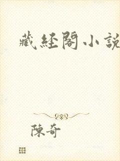 藏经阁小说大全