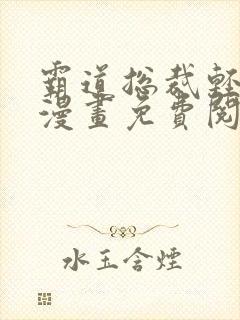 霸道总裁轻轻爱漫画免费阅读全文漫画看漫画