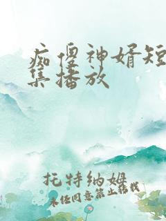 痴傻神婿短剧全集播放