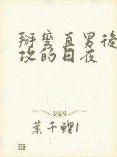 掰弯直男后被反攻的日夜