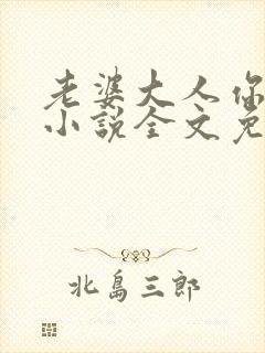 老婆大人你好乖小说全文免费阅读