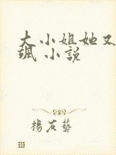 大小姐她又美又飒 小说