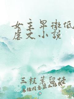 女主卑微低贱的虐文小说