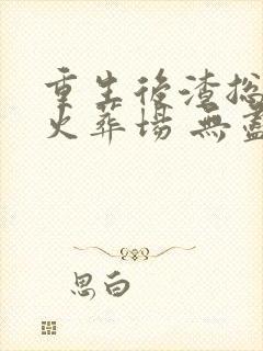 重生后渣总追妻火葬场 无尽夏