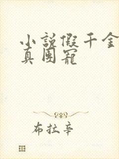 小说假千金才是真团宠