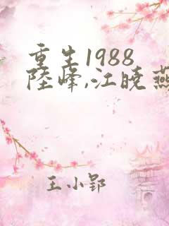 重生1988 陆峰,江晓燕 小说