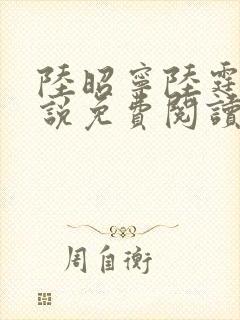 陆昭宁陆霆骁小说免费阅读最新章节