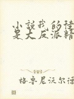 小说我的徒弟都是大反派精校版