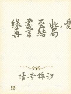 缘尽至此,爱不再言结局