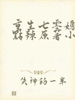 重生七零媳妇有点辣原著小说