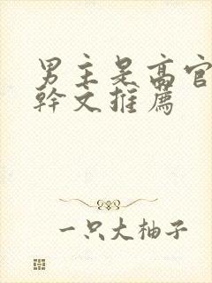 男主是高官的高干文推荐