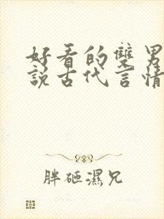 好看的双男主小说古代言情