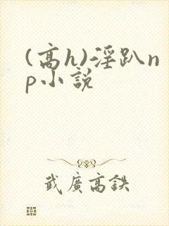(高h)淫趴np小说