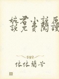 婉君小说原著小说免费阅读