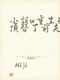 小说w重生后我顶替了前夫白月光,