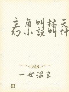 主角叫林天的玄幻小说叫什么名字