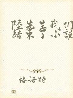 陆先生我们终于结束了小说免费阅读