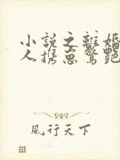 小说之离婚后夫人携崽惊艳全球