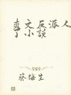 爽文反派人设崩了小说