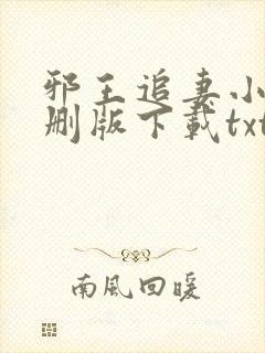 邪王追妻小说未删版下载txt