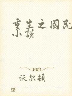 重生之国民男神小说