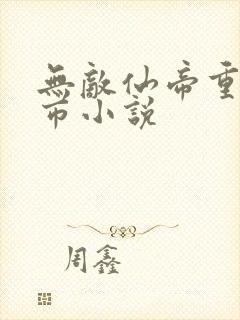 无敌仙帝重生都市小说