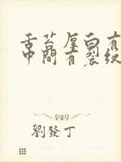 舌苔厚白有齿痕中间有裂纹是怎么回事