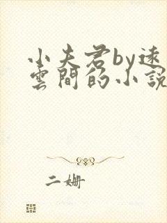 小夫君by远上云间的小说免费阅读最新