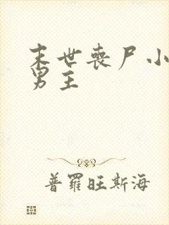 末世丧尸小说双男主